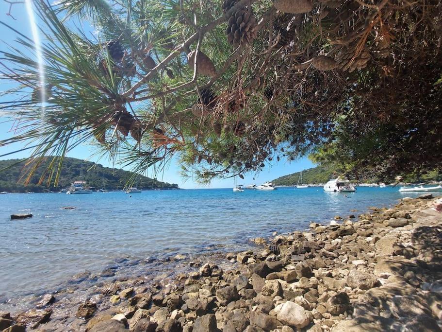 Apartment Kristic - Saplunara, Mljet Babino Polje Exterior foto