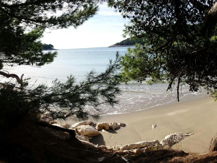 Apartment Kristic - Saplunara, Mljet Babino Polje Exterior foto