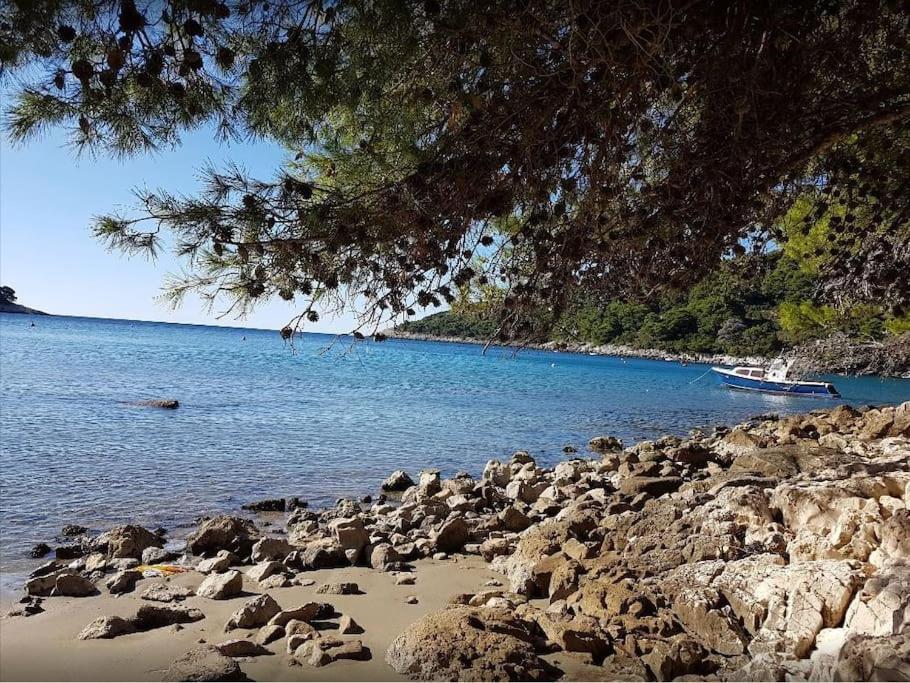 Apartment Kristic - Saplunara, Mljet Babino Polje Exterior foto