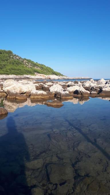 Apartment Kristic - Saplunara, Mljet Babino Polje Exterior foto